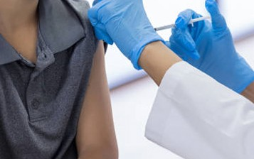 Ice Pack for Shipping Vaccines