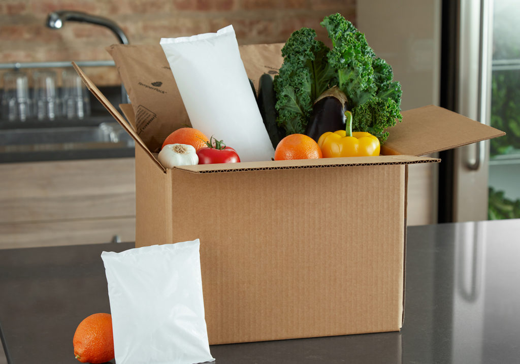 Gel Refrigerant Freezer Packs for Meal Kits